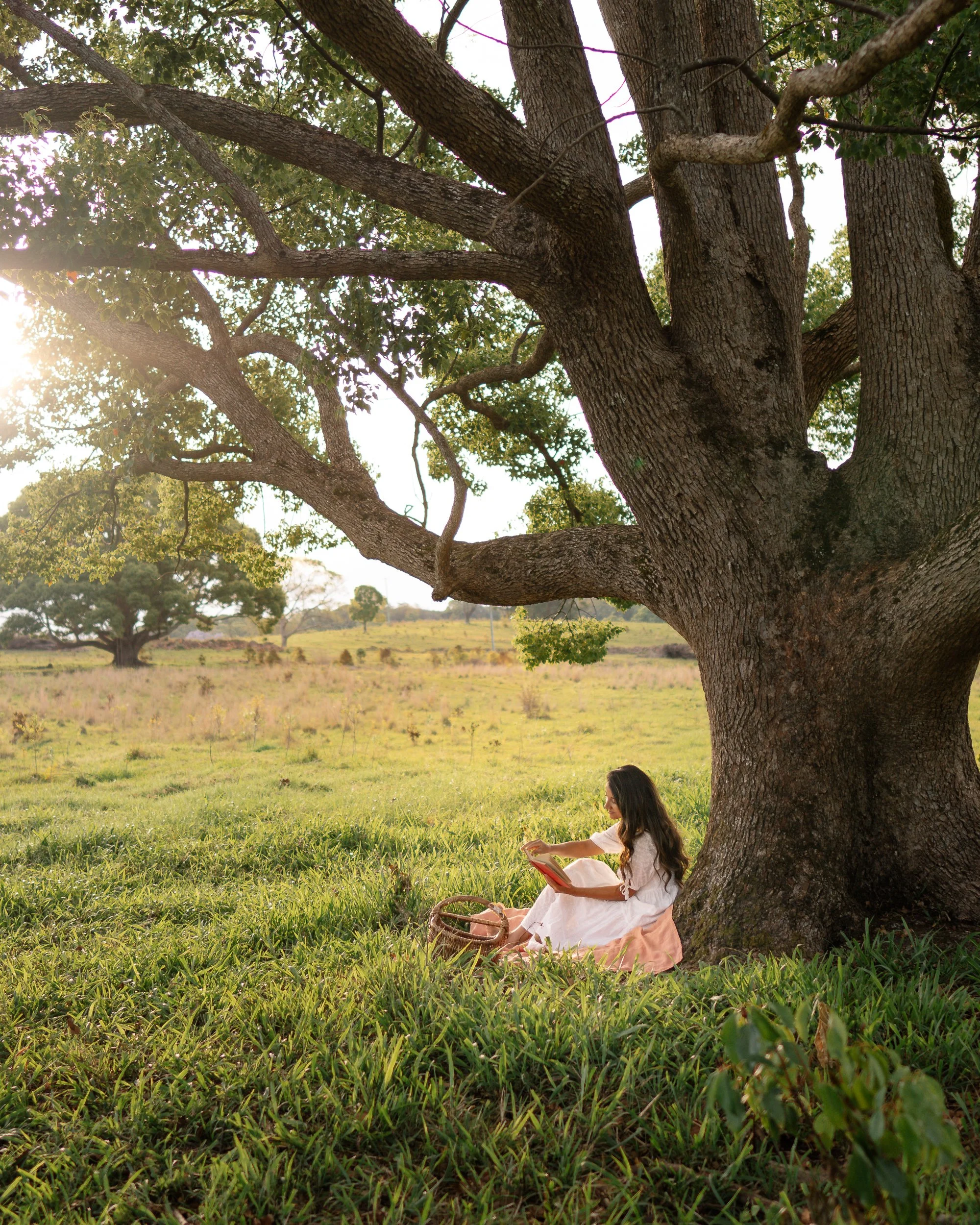 Guest sitting under a large tree enjoying quiet moments in nature at a luxury retreat in the Byron Bay Hinterland