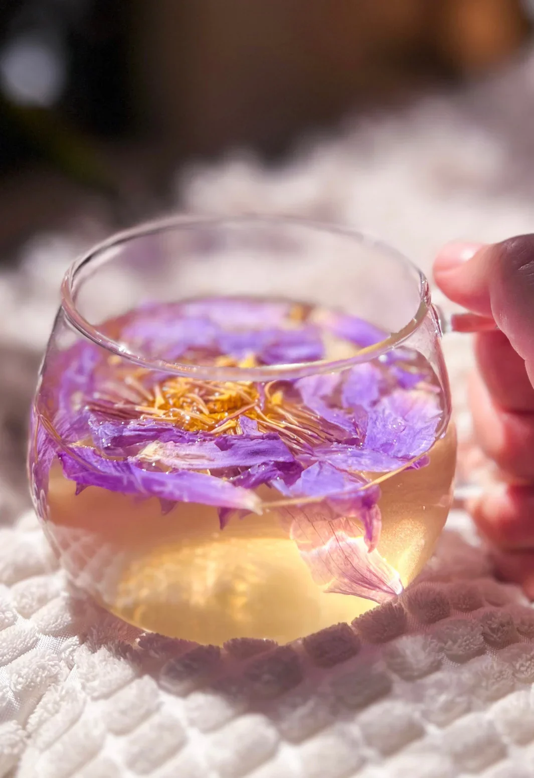 Breathwork and Blue Lotus Ceremony Workshop Heartwood Farm Byron Bay Hinterland