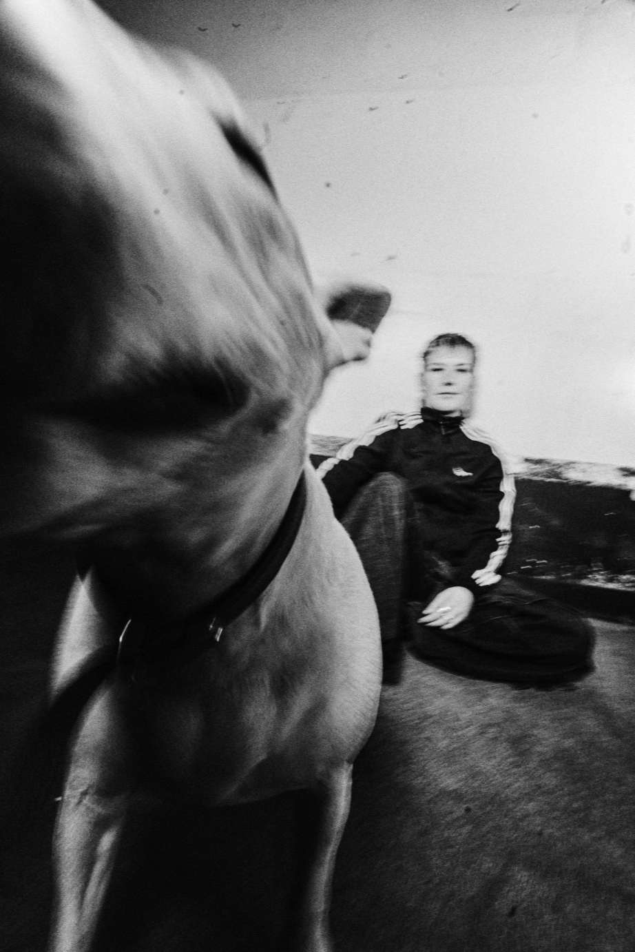 A person sitting on the ground outdoors with a large dog’s head close to the camera, making the dog's face appear large in the foreground. The person is wearing a black Adidas jacket with white stripes and has their hair pulled back. The scene is in 