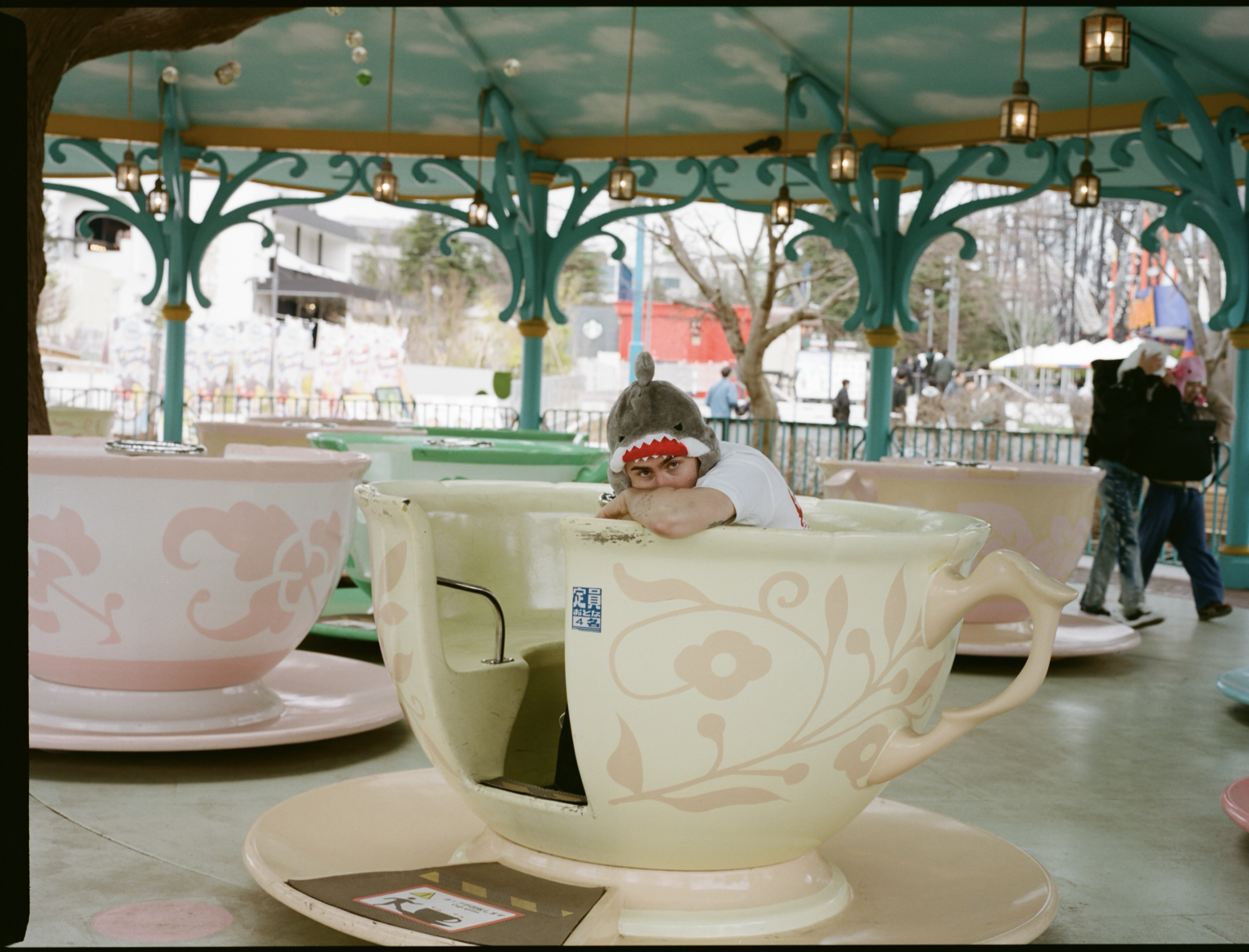 Person wearing a shark hat sitting inside a large, decorative teacup amusement ride at an outdoor fair or amusement park.