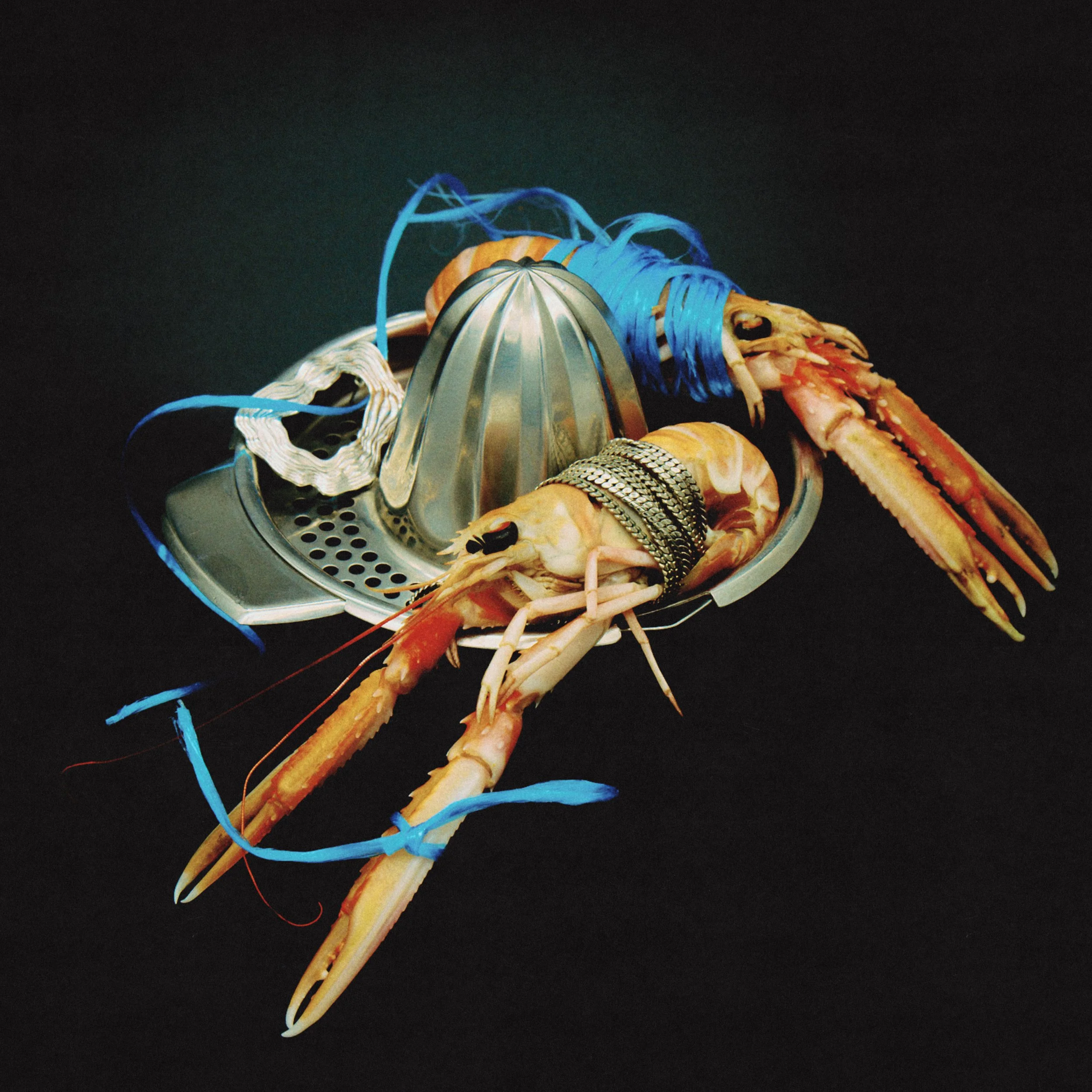 PRAWN.jpg