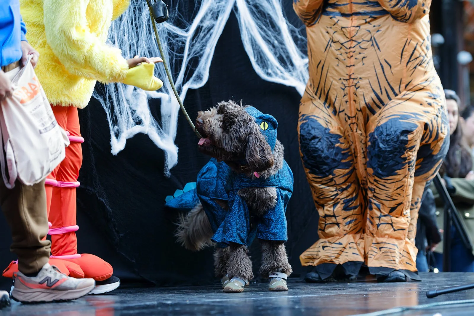 2025-10-26 DFPhoto Trick or Treat-139.jpg