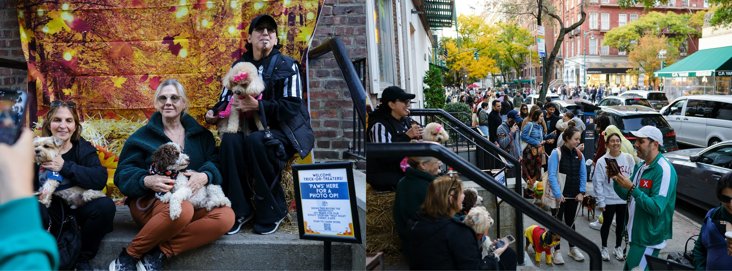 Facebook Cover Photos (3).png