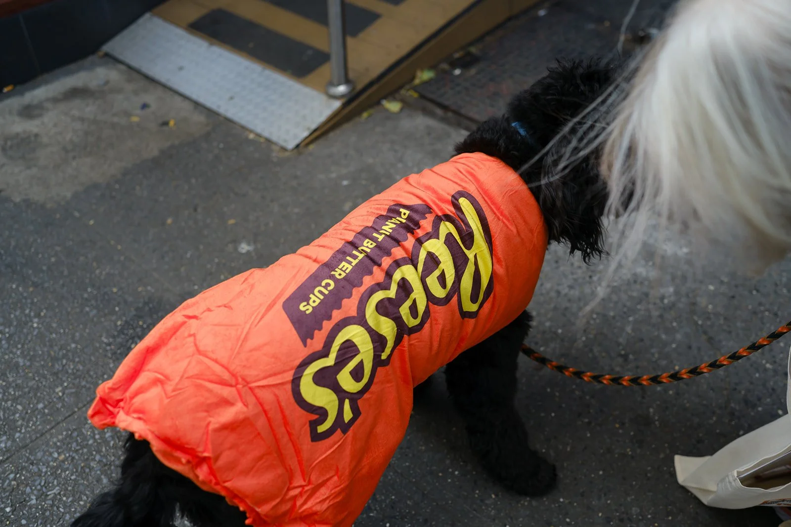 2025-10-26 DFPhoto Trick or Treat-32.jpg