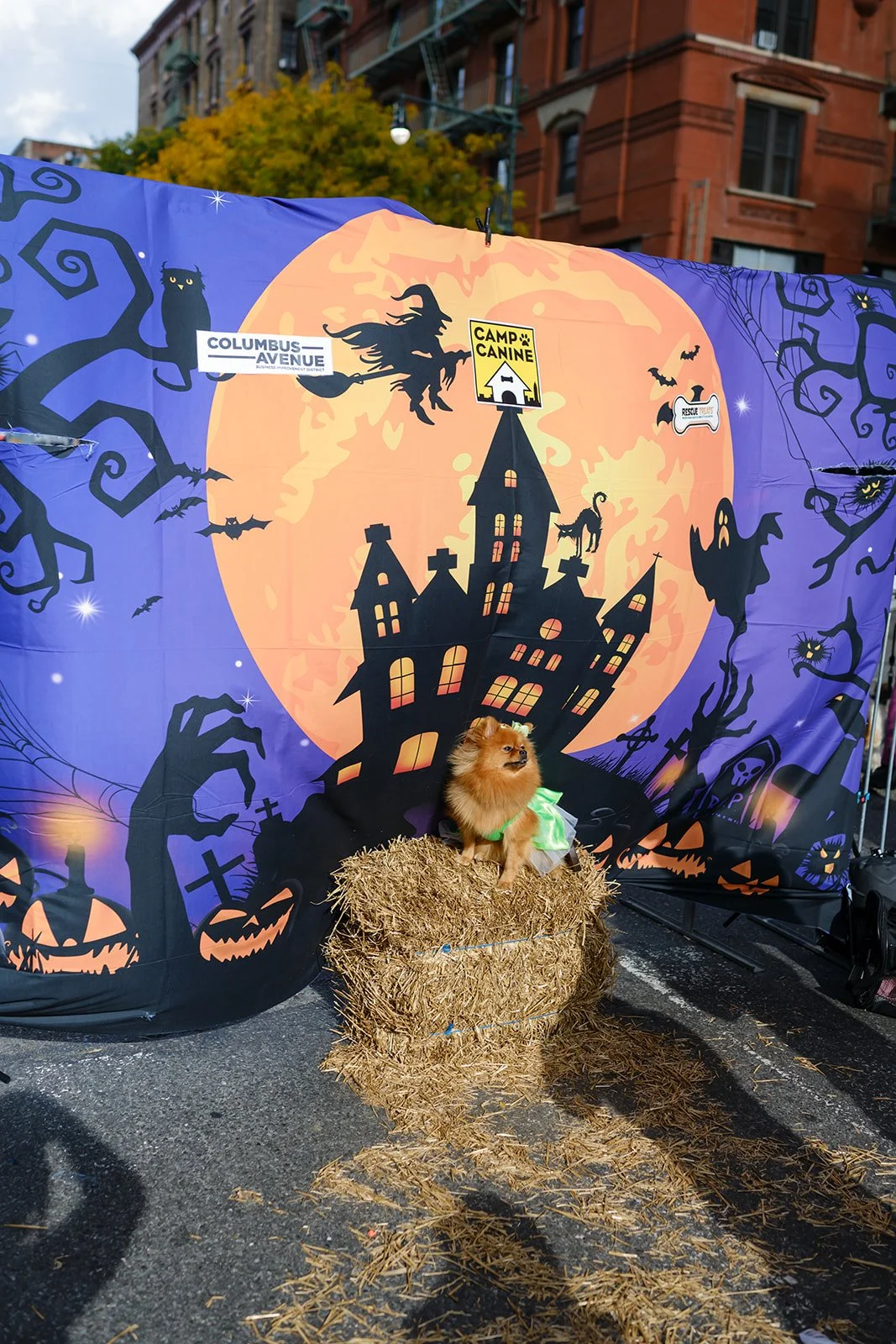 2025-10-26 DFPhoto Trick or Treat-15.jpg