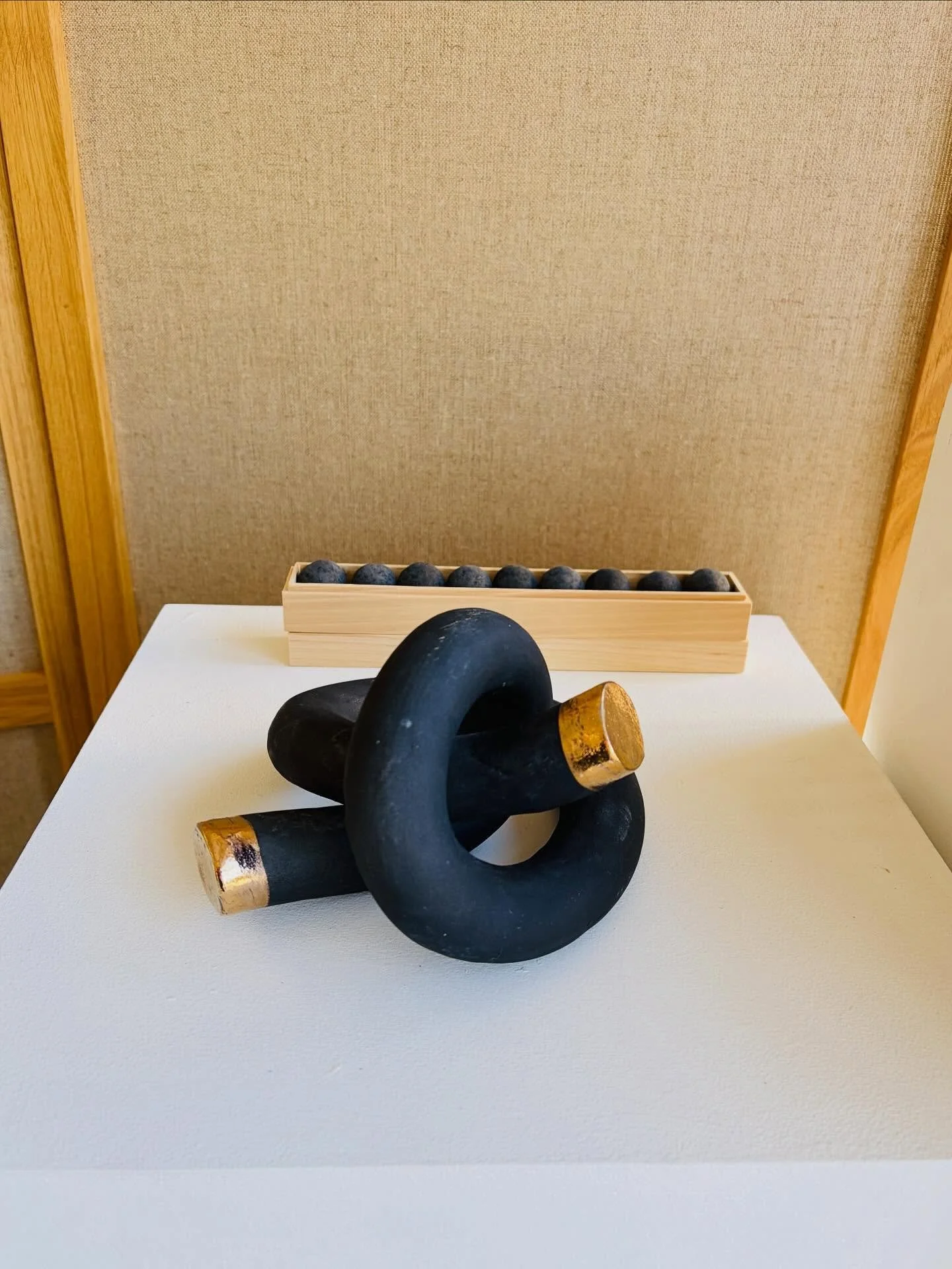 Blending the use of ceramics and concrete @sasinun_zohm work represents the beauty of nature hidden among urban living.

Meet Sasi today, final day of the gallery, and experience this work in real life.

2751 21st st, 11-6pm.
Final day today 10/26