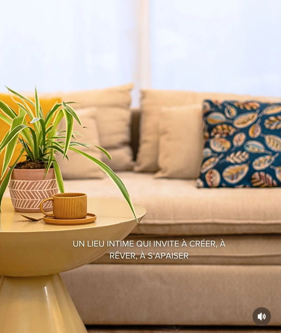 Salon avec un canapé beige, plusieurs coussins colorés, une table avec une plante en pot et une tasse.
