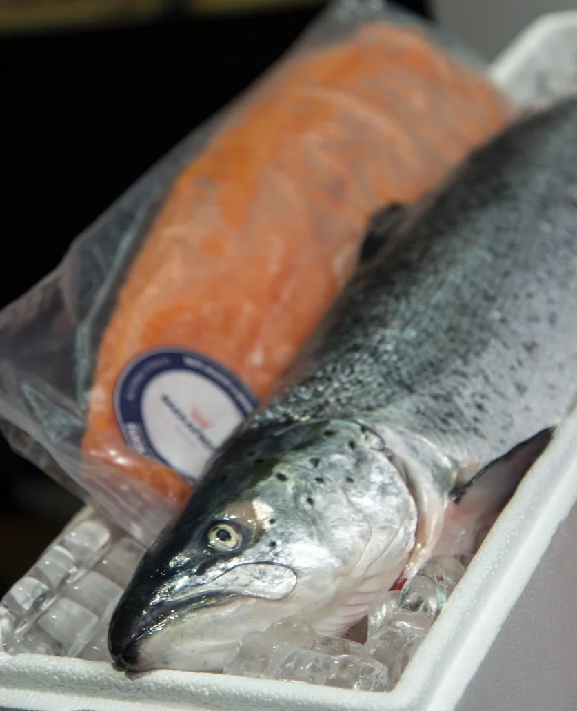 Taste Japan 202235.jpg