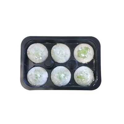 UJI MATCHA MOCHI ICE CREAM