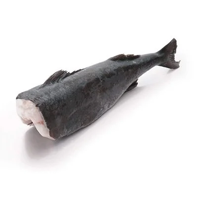 GINDARA 7LBS (BLACK COD) H&G J-CUT