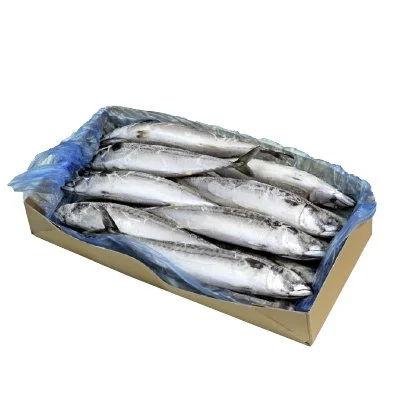 NORWAY SABA WHOLE 400/600G