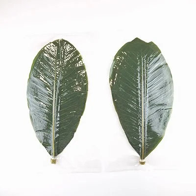 GREEN ​HOBA ​LEAF L35/40