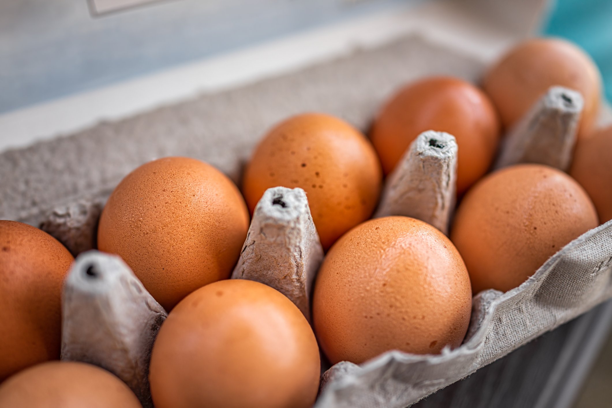 EGGS
