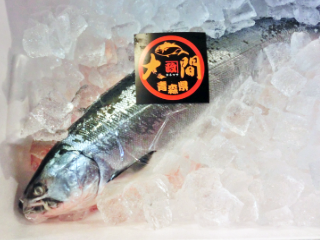 Fresh fish on ice with a Japanese label on the packaging.