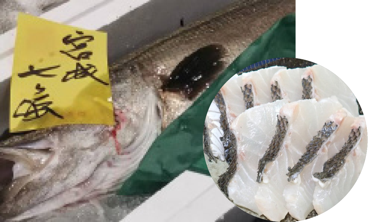 Fresh sliced sashimi fish with visible skin on a plate, with a close-up inset showing the cross-section of the fish slices.