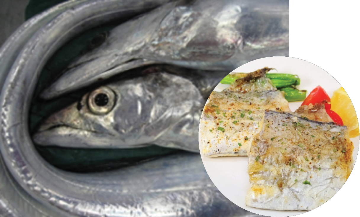 Close-up of fish with a fresh fish catch behind, and a smaller inset image showing cooked fish fillets with vegetables.