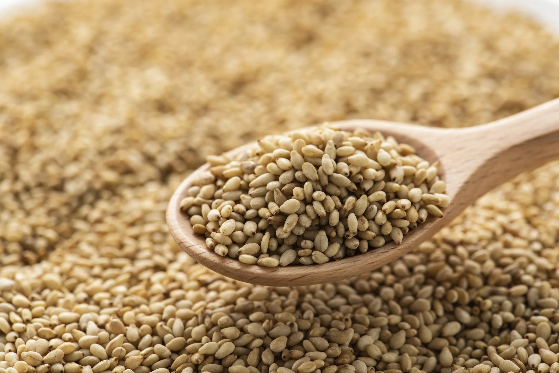 SEEDS & NUTS