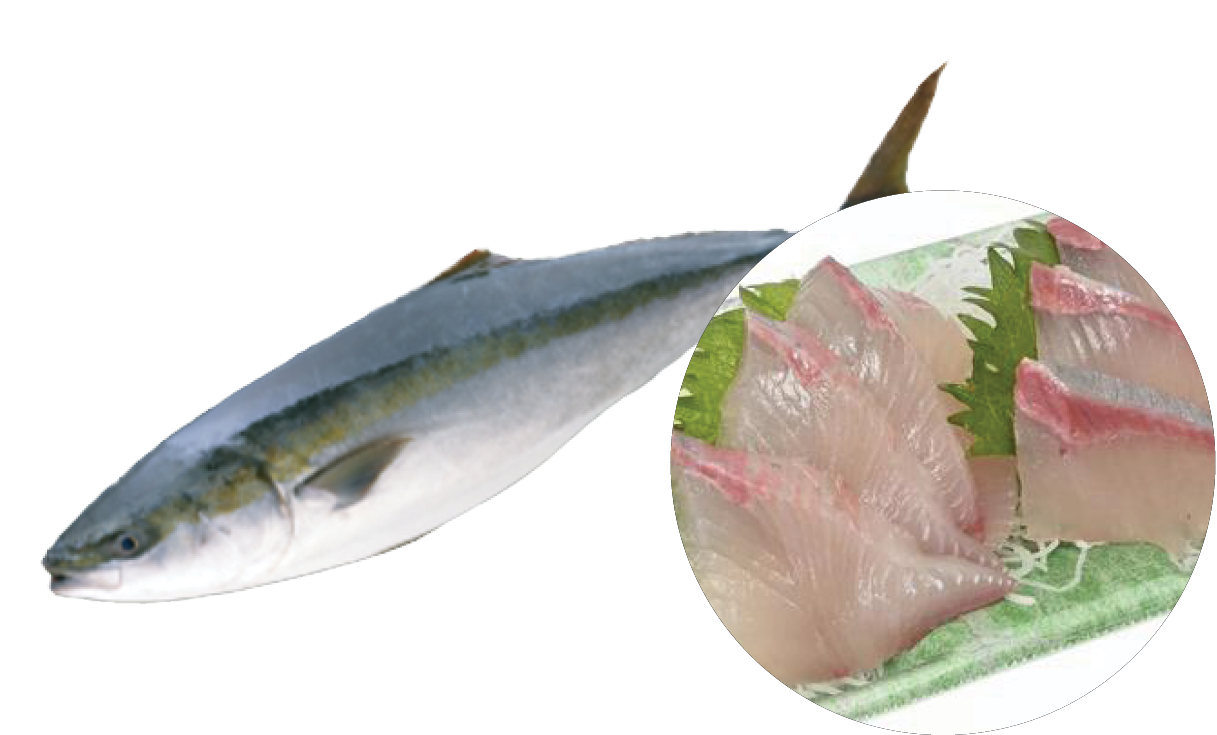 Fresh whole fish and slices of raw fish sashimi on a plate.