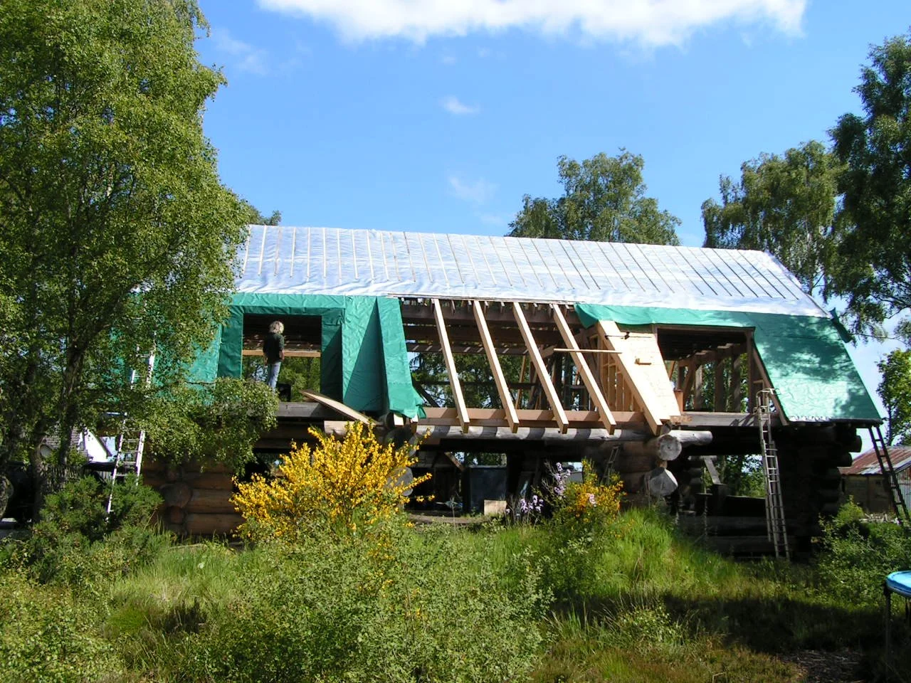 PICT2541.JPG