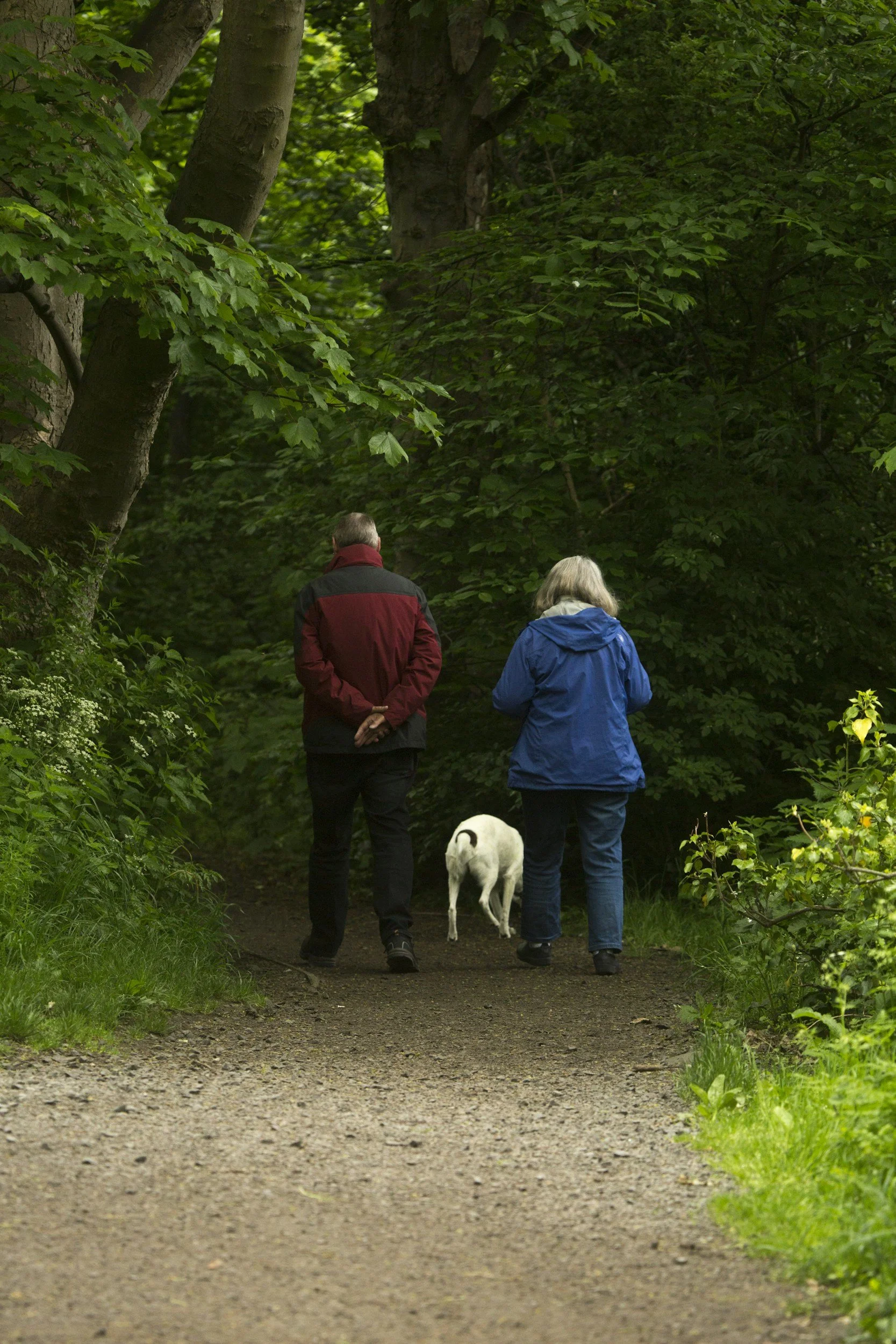 You Spent Decades Working Toward Retirement—So Why Does It Feel So Empty?