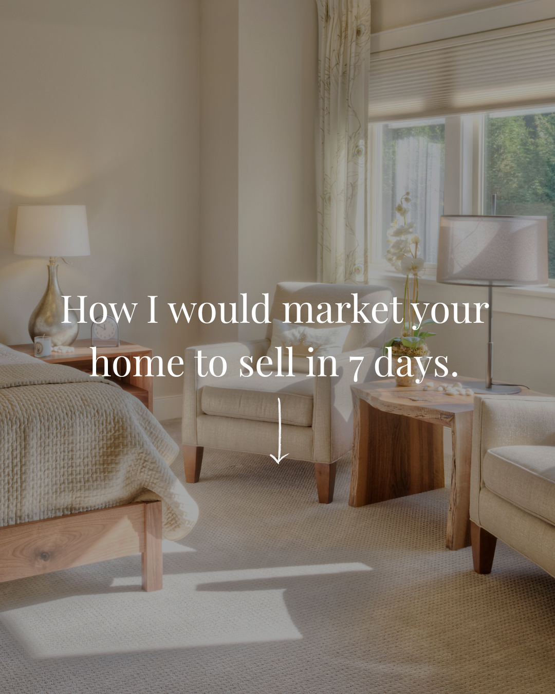 Market in 7 Days (Expert).png