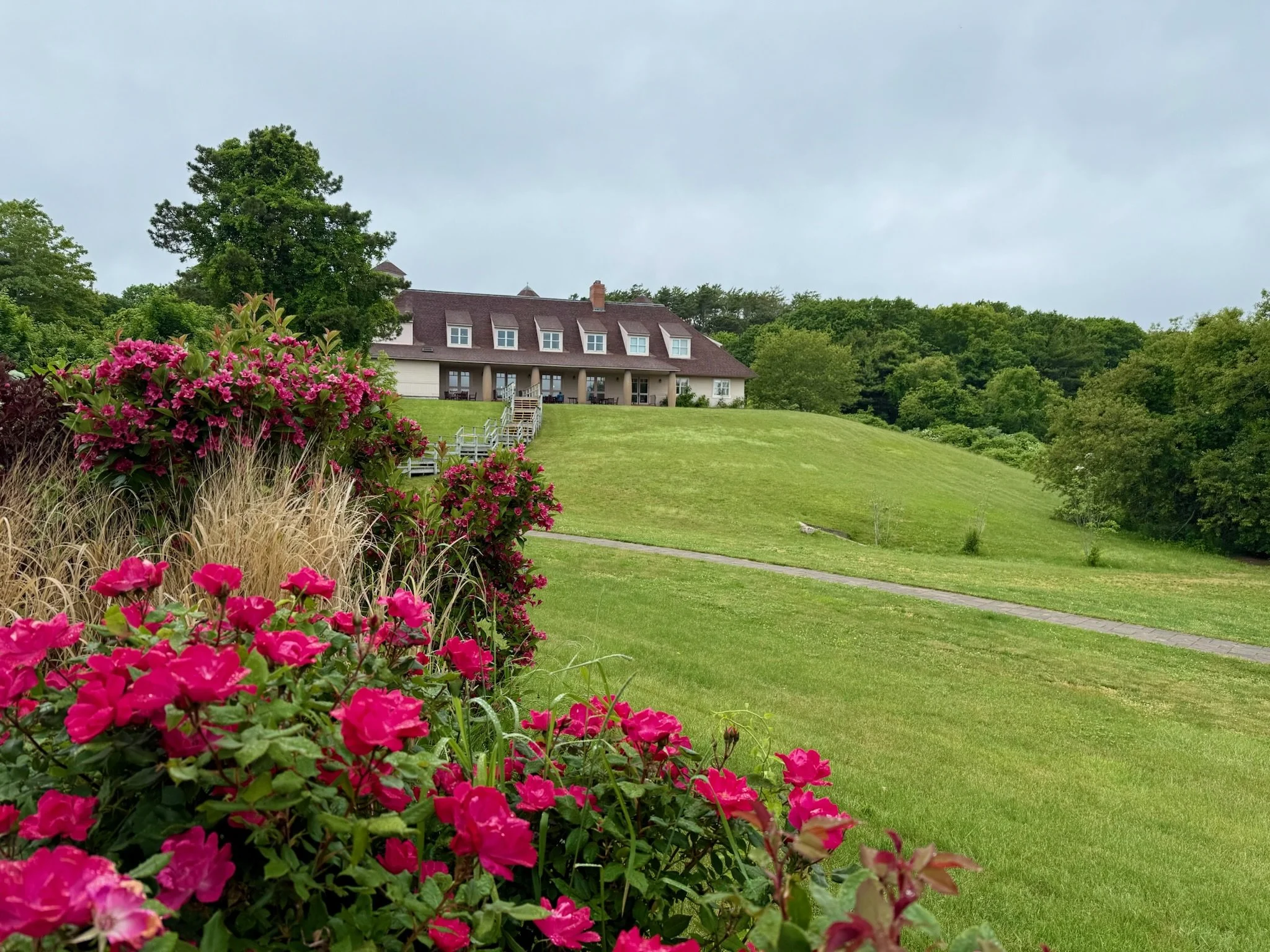 Showers & Celebrations