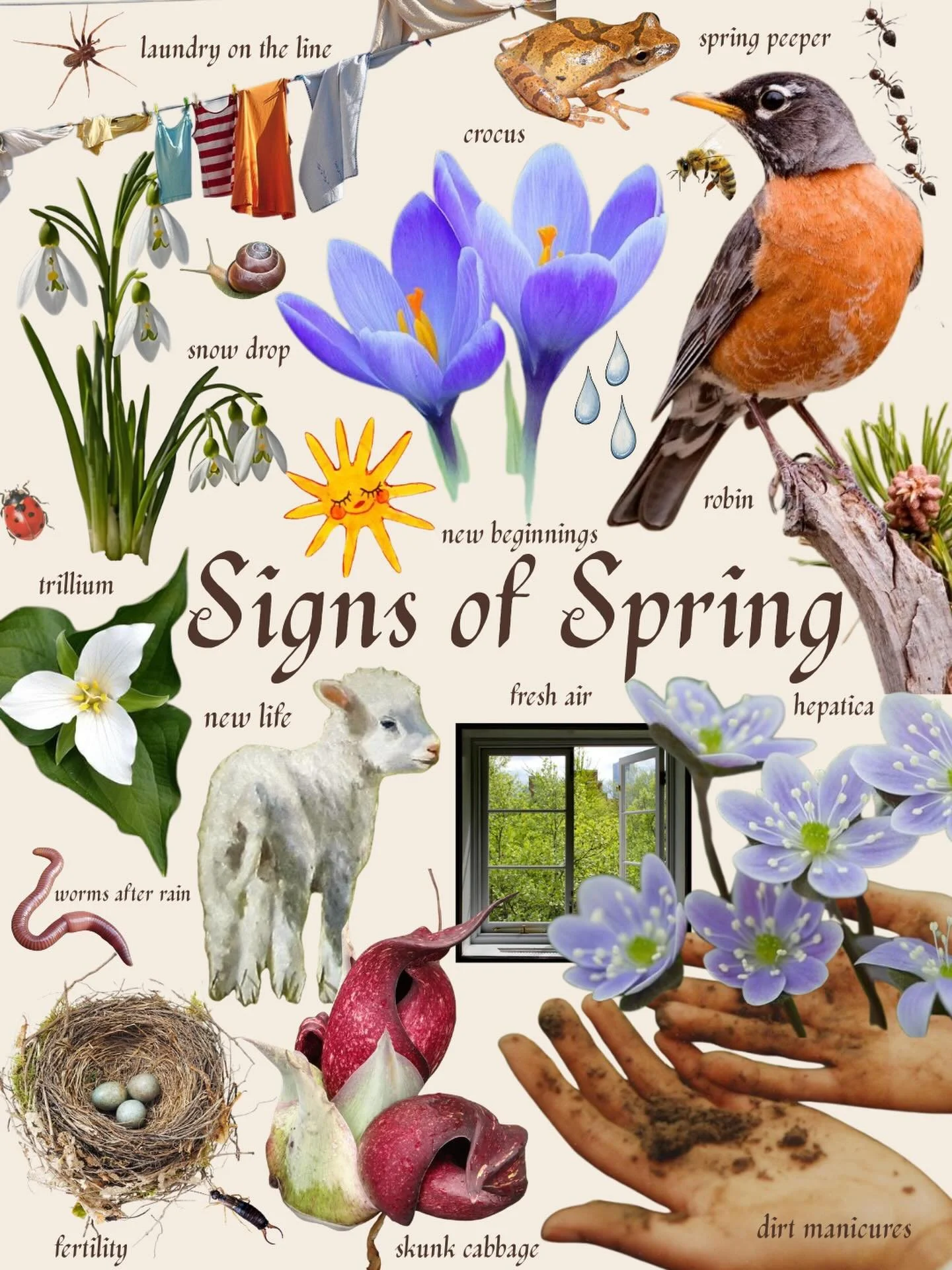 Spring is stirring ✨