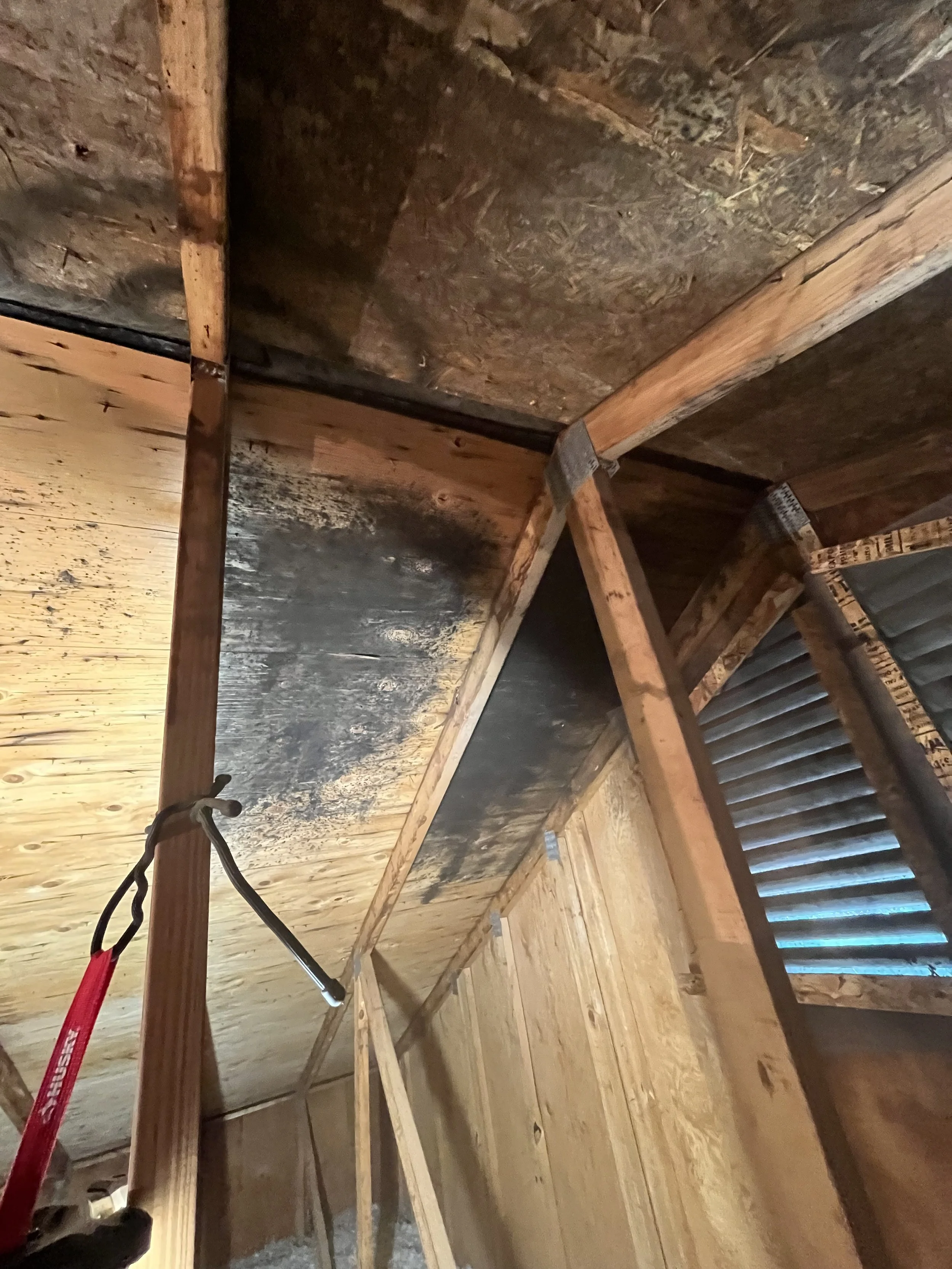 Mold Remediation