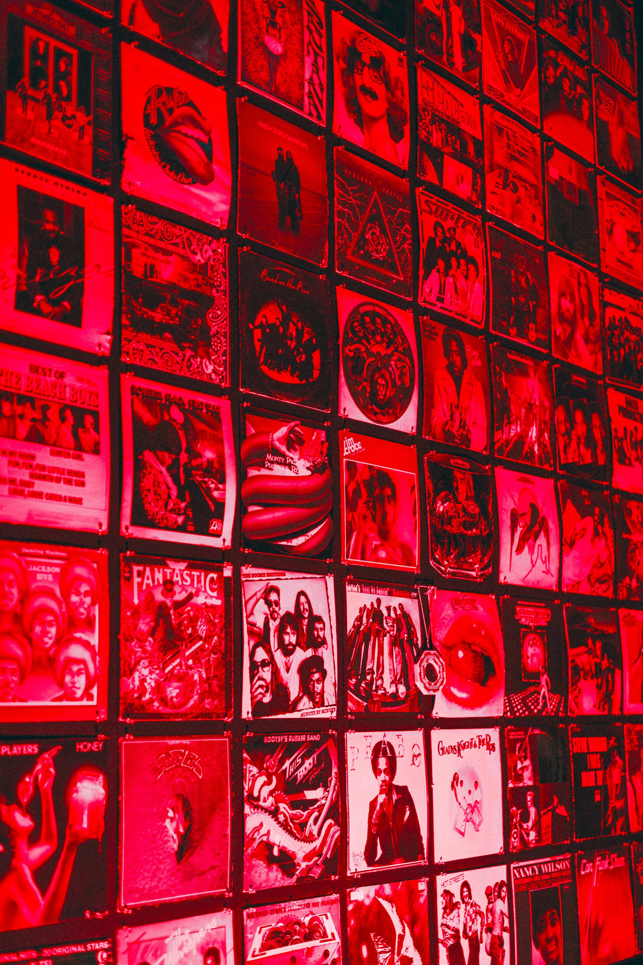 Sneaky Fox Records Grand Opening_71.jpg