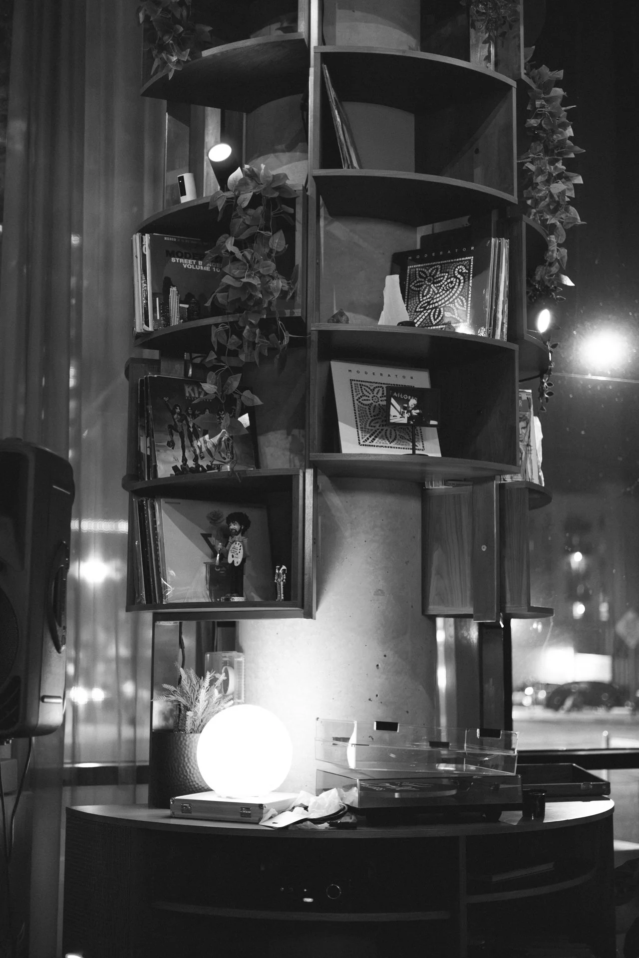 SF & FRIENDS 112225_-55.jpg