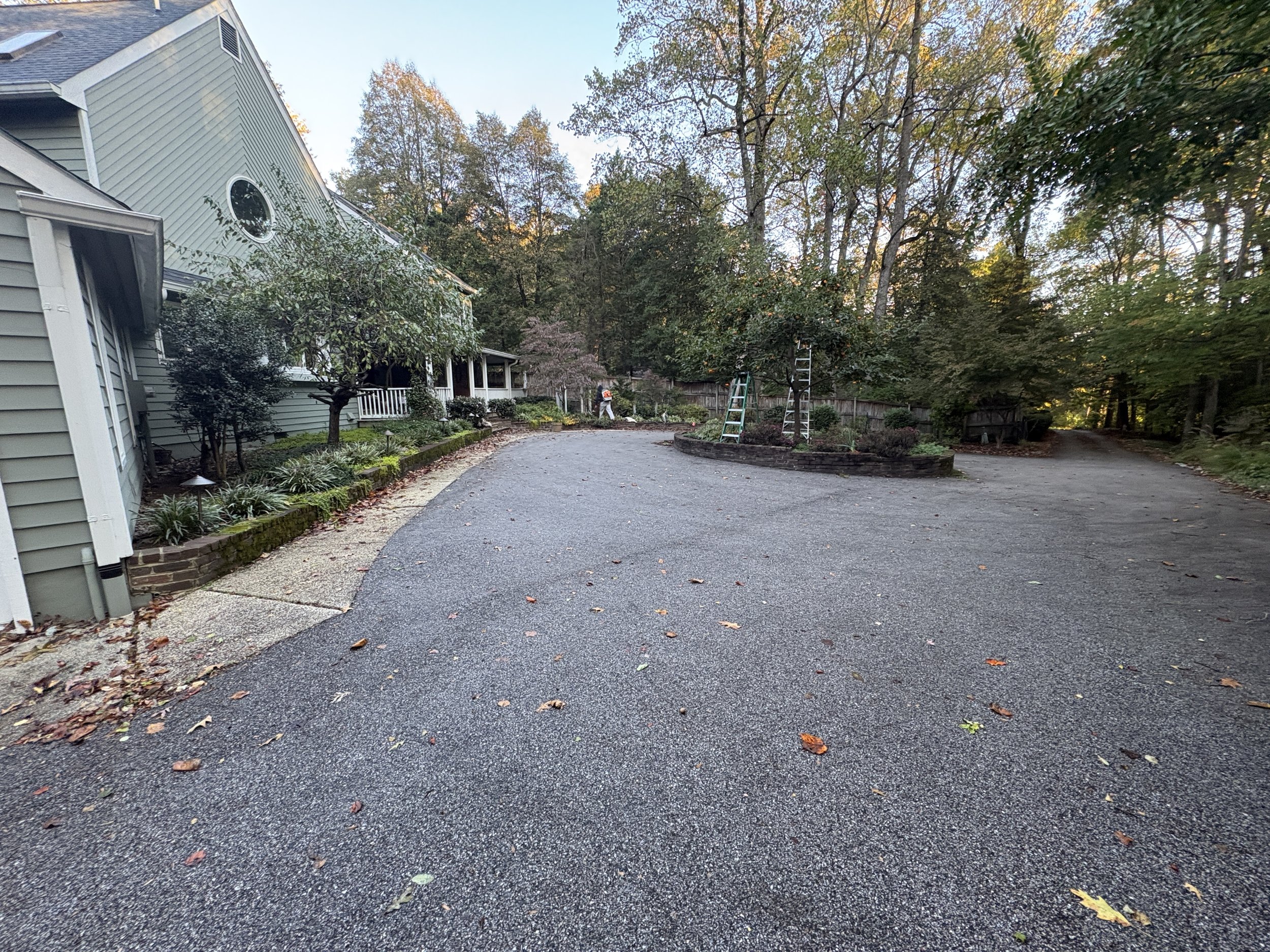 Leaf Cleaning Project