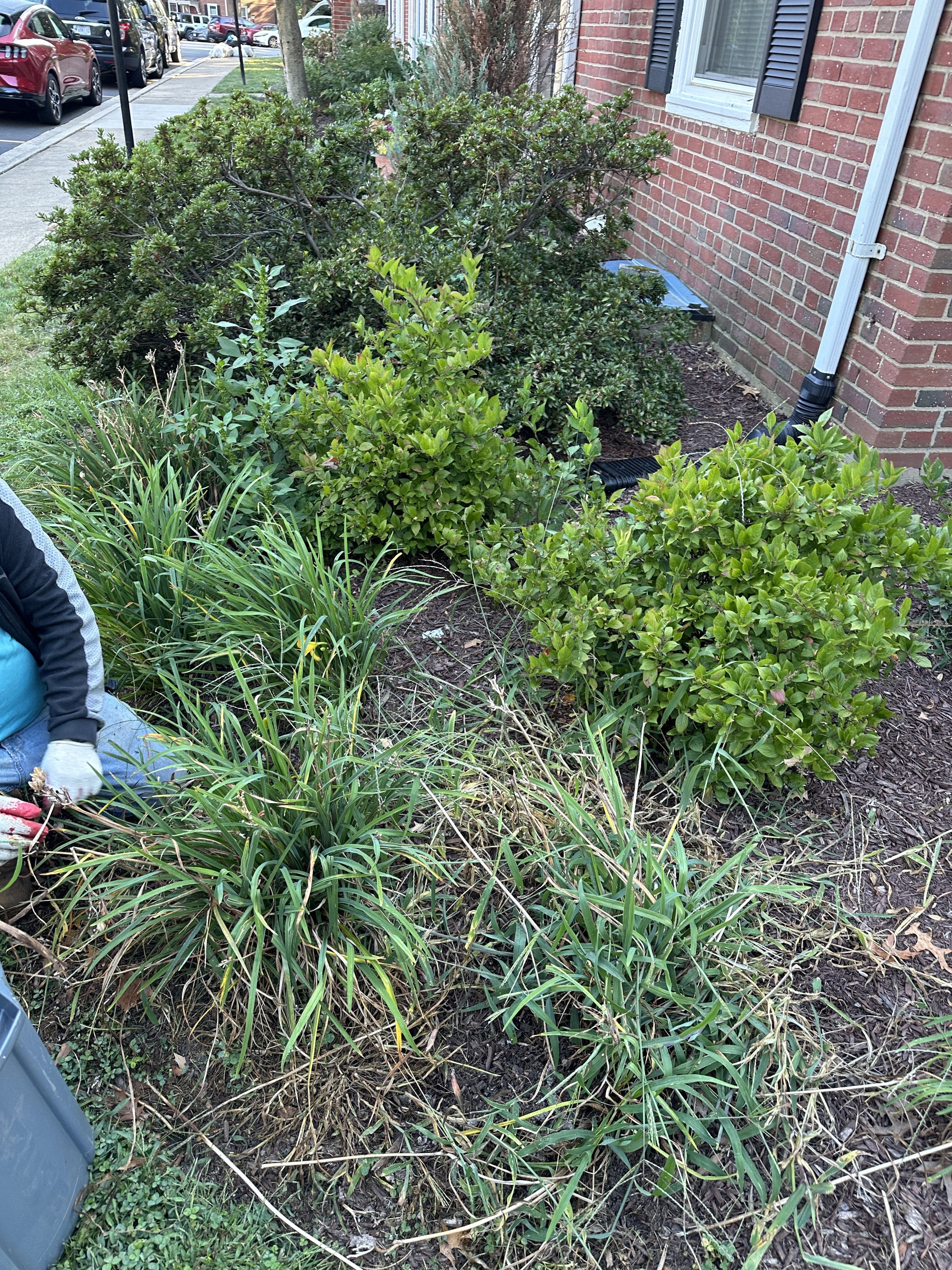 Bed Cleaning and Mulching Project