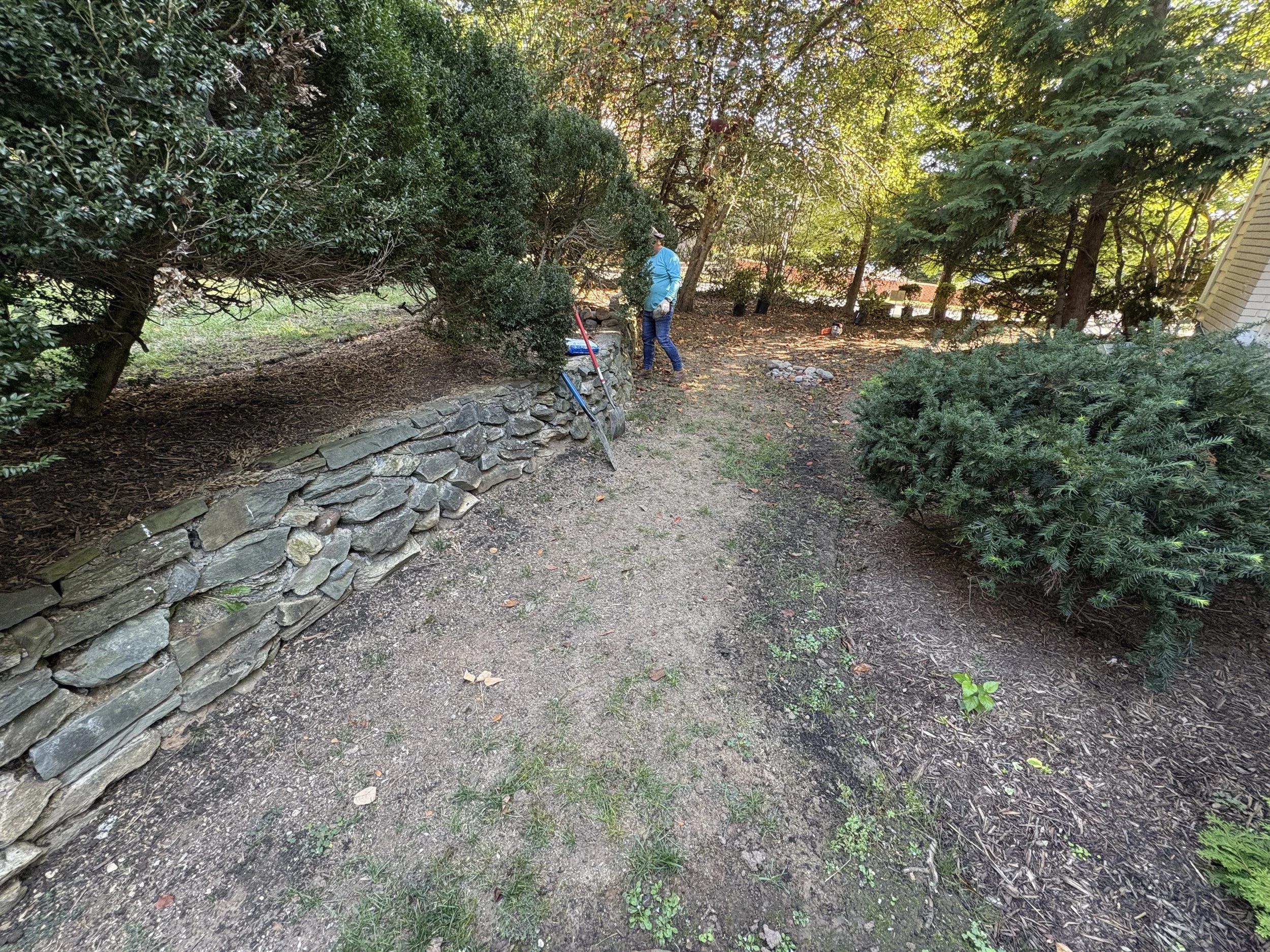 Sod and Replacing Plants Project