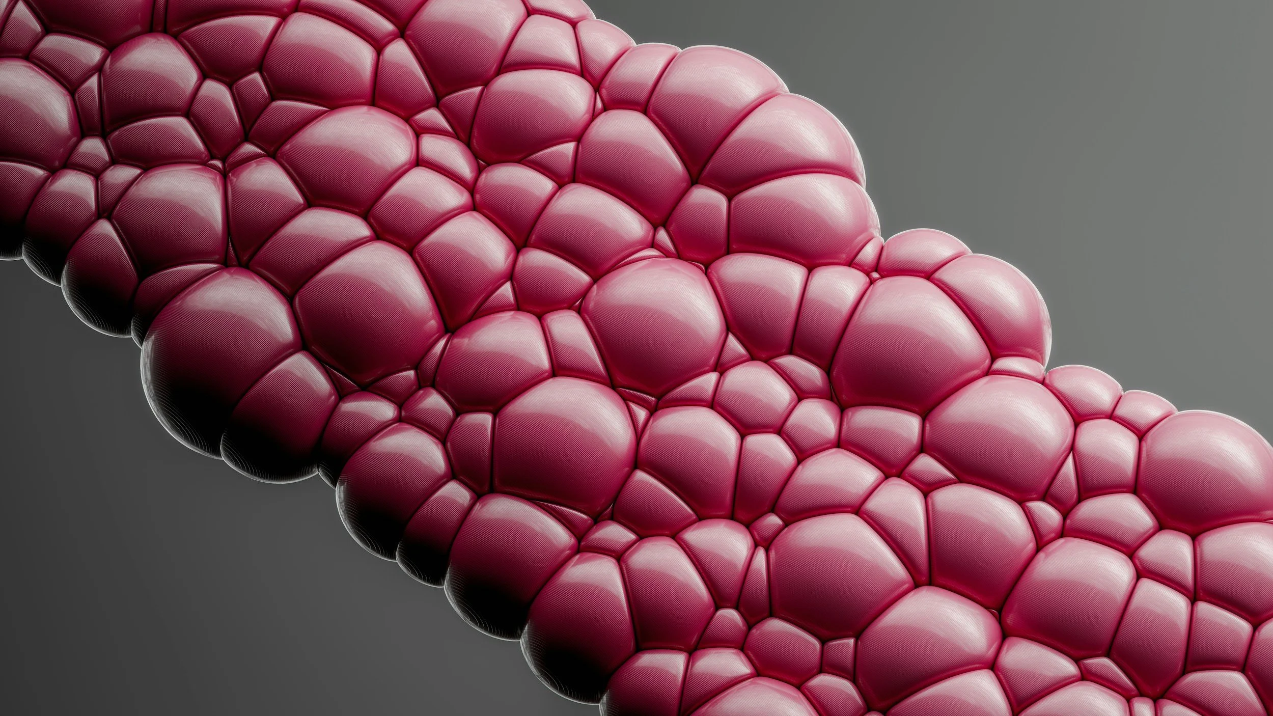 Cholesterol: Why Your Brain and Hormones Need It