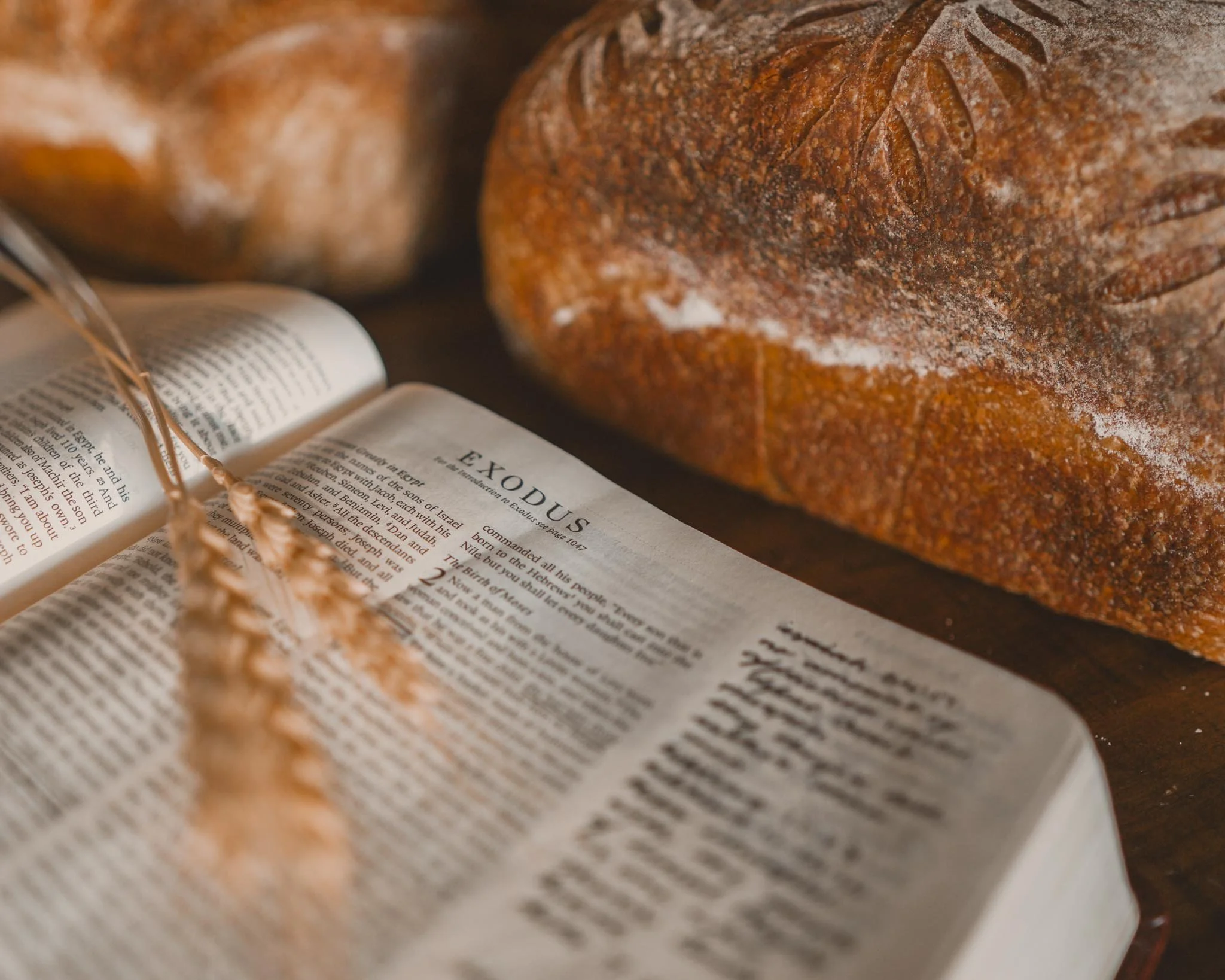 Open Bible with the word 'Exodus' visible, next to loaves of bread on a wooden surface.