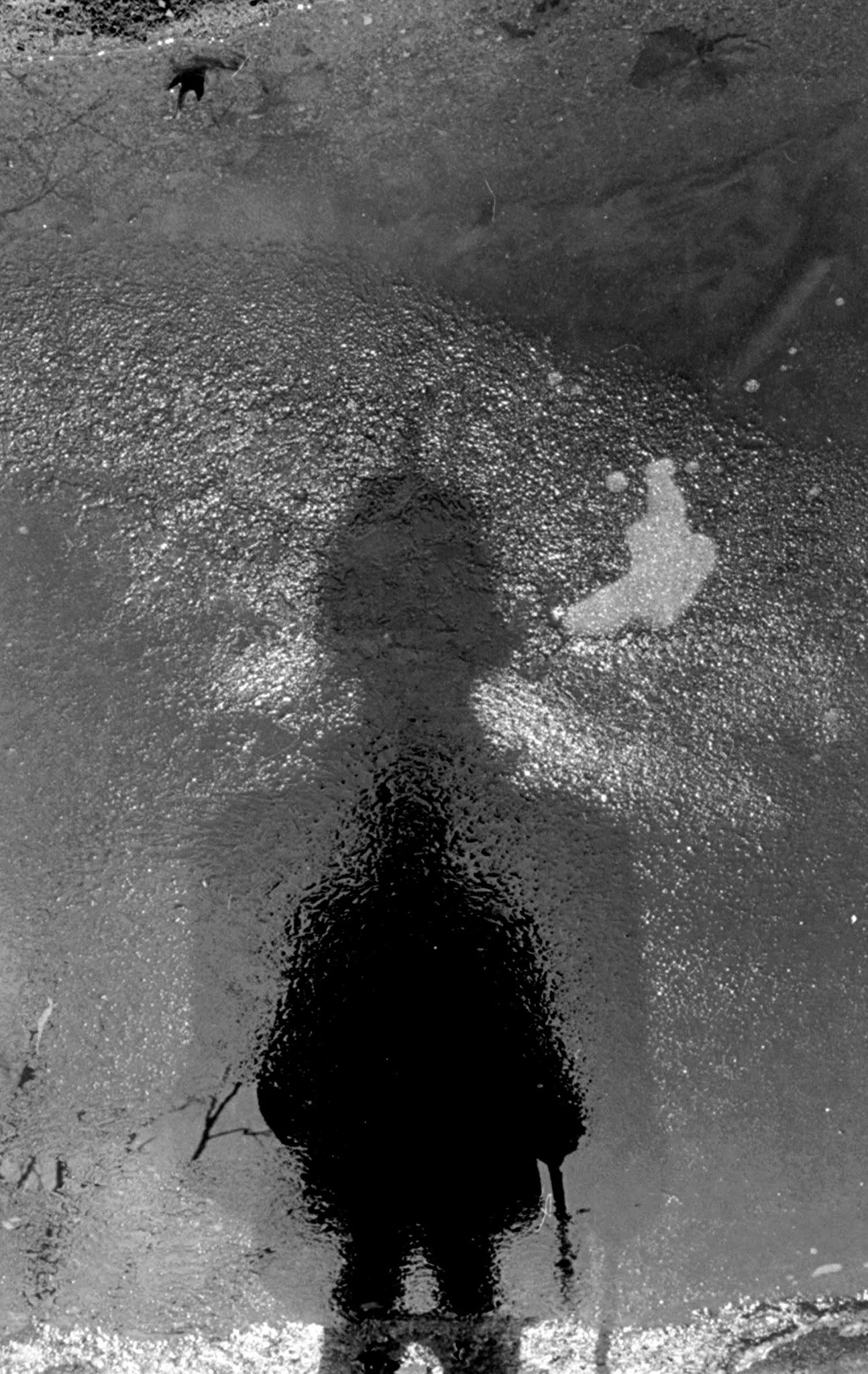 12-29-2022_020-Ice shadows-12-29-22.JPG