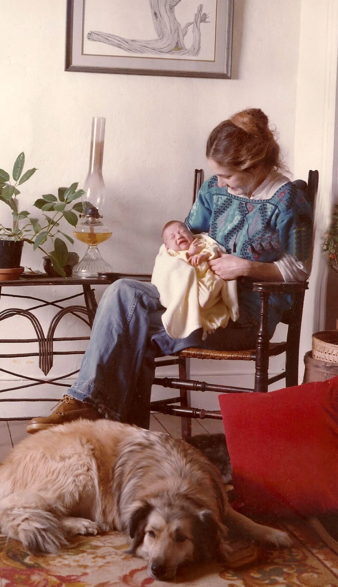 20089755241_5032017762_o (1)-colleen-2024.jpg