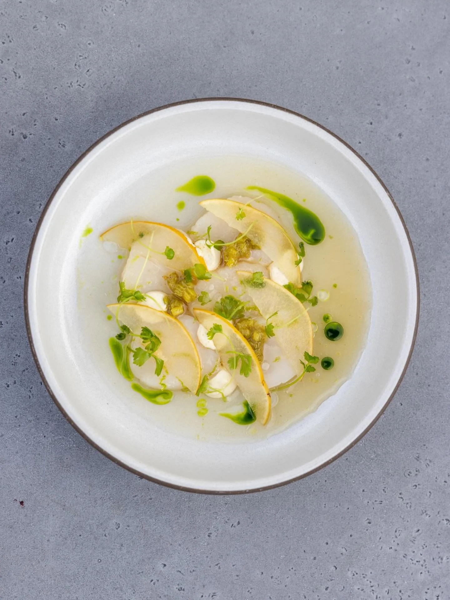 Cured Maine Scallop Sashimi -> Asian pear, bonito aioli, sesame, lovage. 

So sweet. Incredibly fresh. Straight from the docks to our kitchen. Grateful for @sue_buxton making it possible to get these beauties to STL!