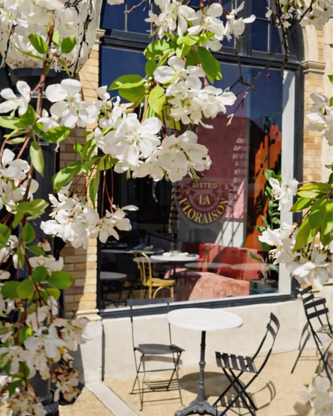 Dreaming of spring? Bistro La Floraison is a beautiful backdrop to gather together and celebrate life&rsquo;s milestones.&nbsp; Our whole space is available for private brunch events. Contact our event team through the link in our bio for details.