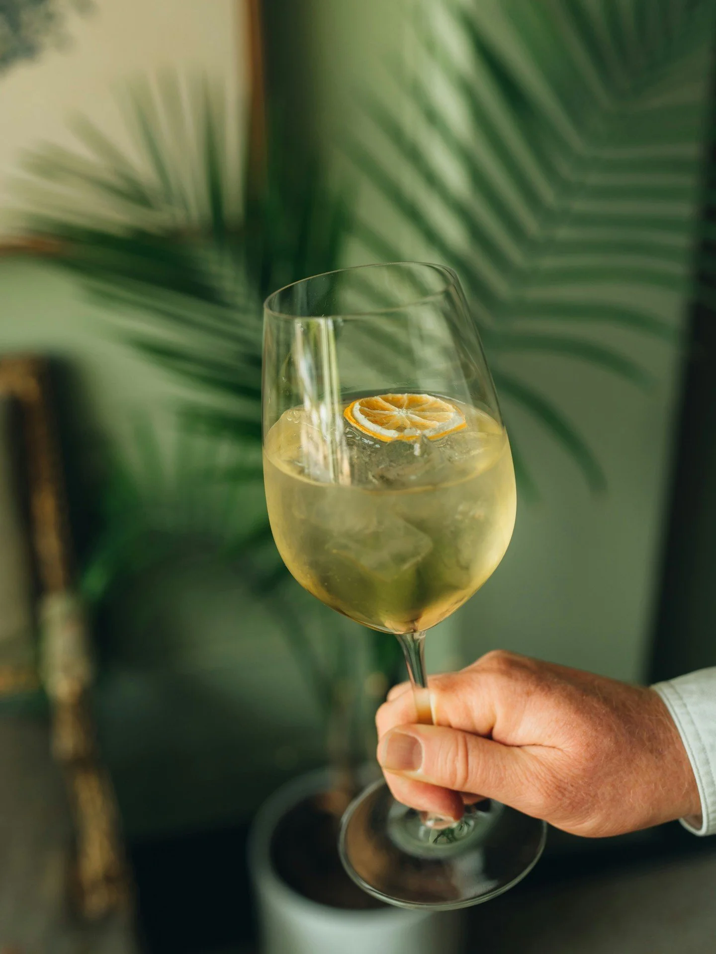 It's a good night for a spritz. Try our NA Spritzes- all the celebration, none of the alcohol.  Perfect pairing with a patio seat.

NA Panache- NA wheat beer, ginger beer, muddled orange, NA orange bitters.

NA Terrazza Spritz-Abstinence blood orange