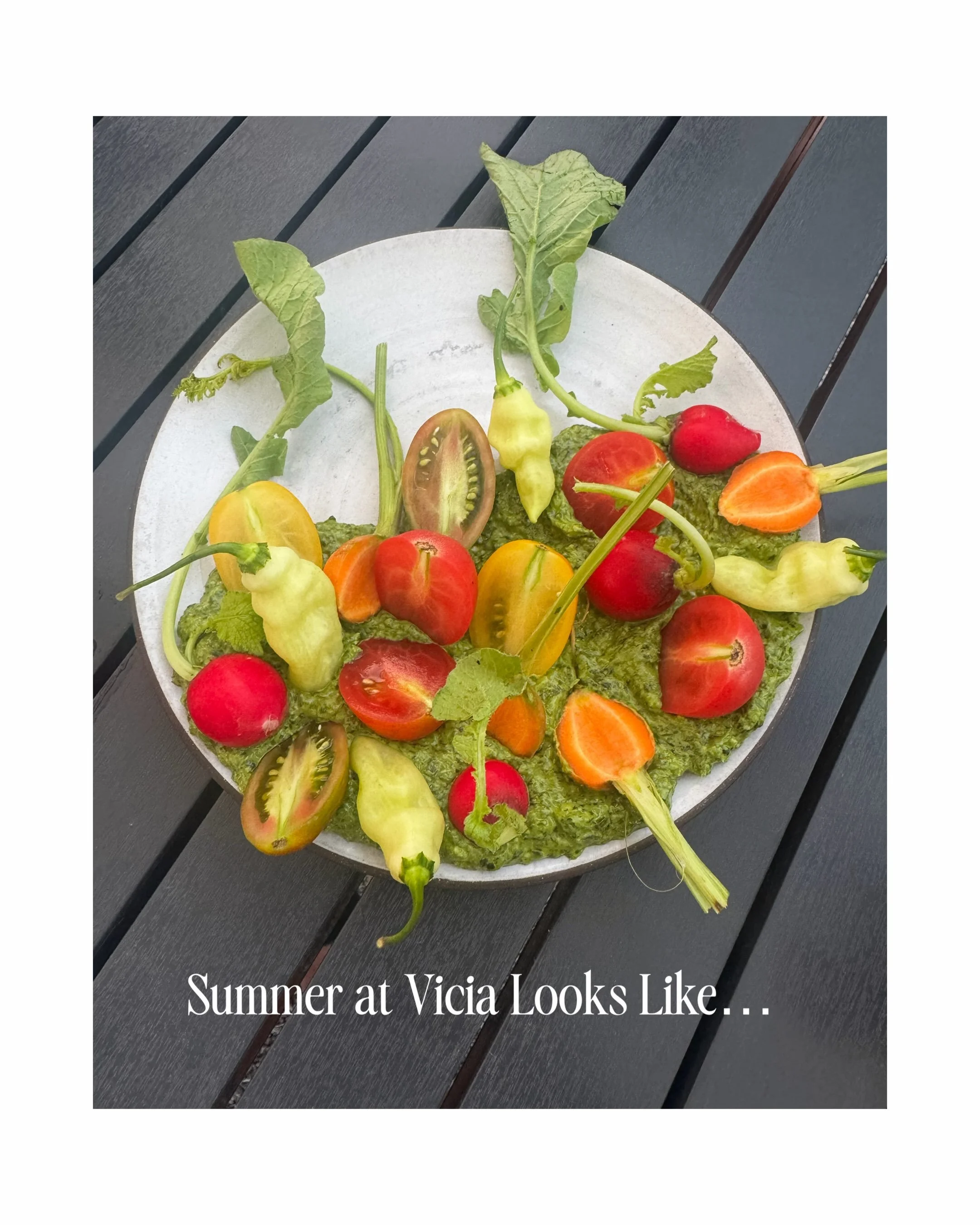 Blink and fall will be here. Savor peak summer at Vicia while you still can ☀️ Book on @opentable