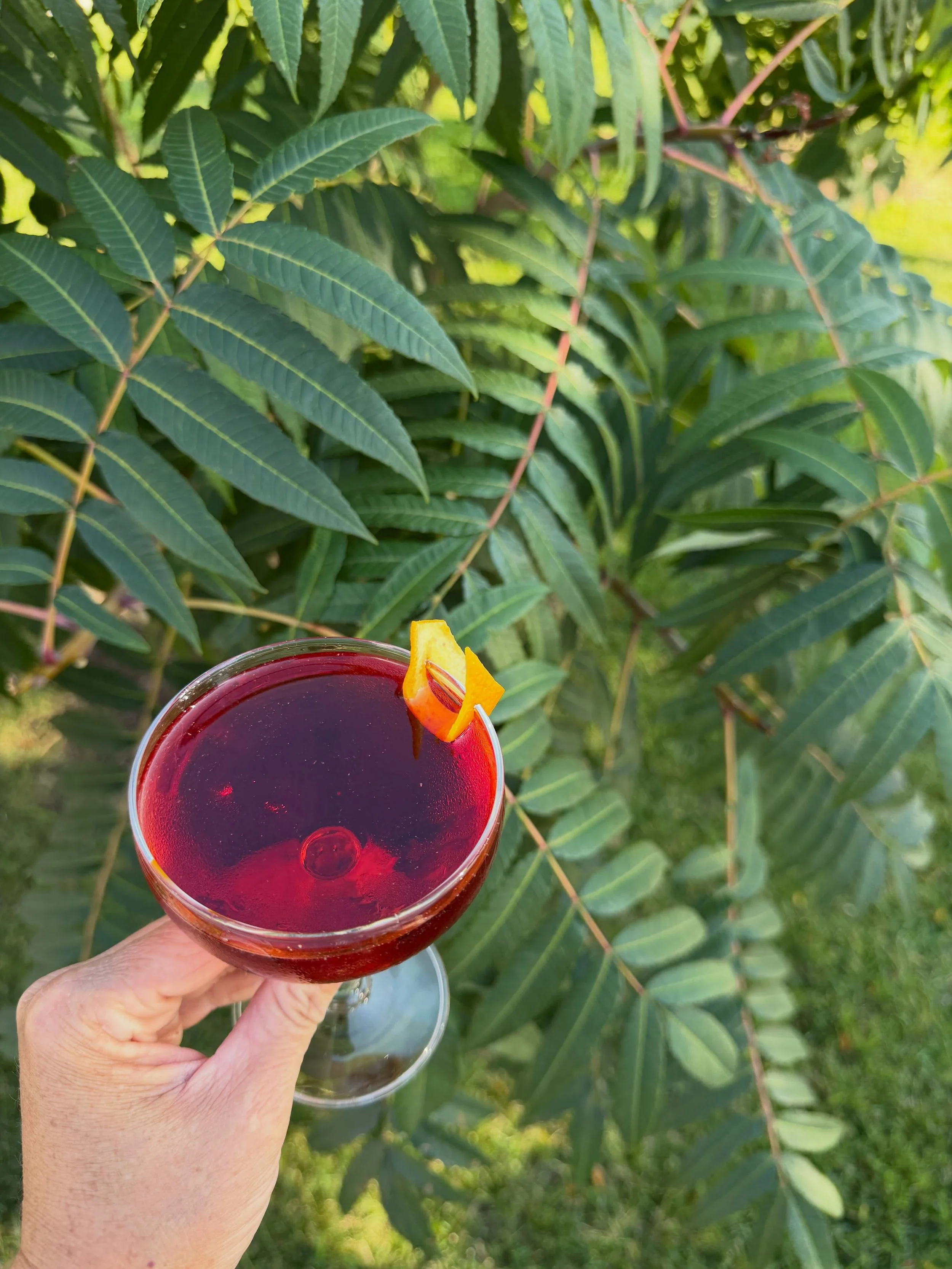 From our garden to your glass, for a good cause. 🥃🌿

Vicia joins bars and restaurants around the world for @imbibe Negroni Week, September 21&ndash;27. As a Premium Donor, we&rsquo;re proud to support @slowfood_international&rsquo;s work toward a m