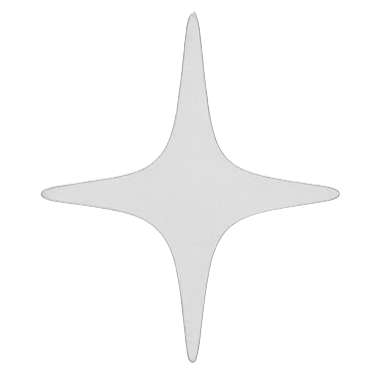 Silver four-point star-shaped pin or badge