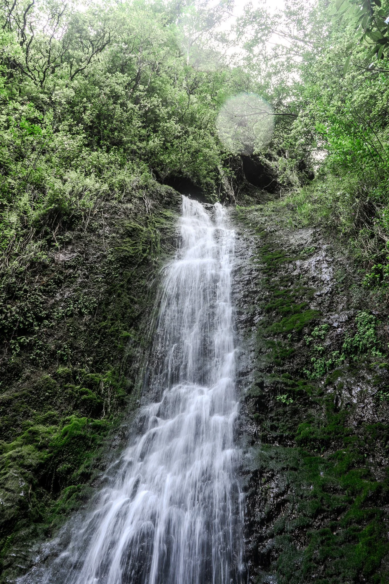 DSC09476-2.jpg