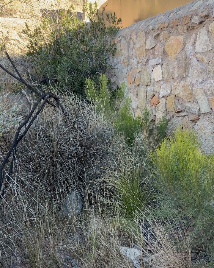 From an unused backyard to a fully functional outdoor living space 🔥

We transformed this area with a custom modern pergola, concrete patio, artificial turf, and a built-in outdoor kitchen&mdash;creating a clean, low-maintenance space designed for c