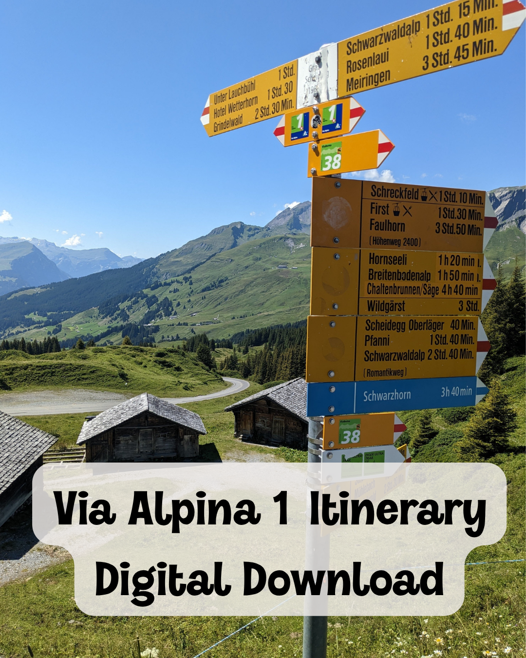 Via Alpina 1, Switzerland