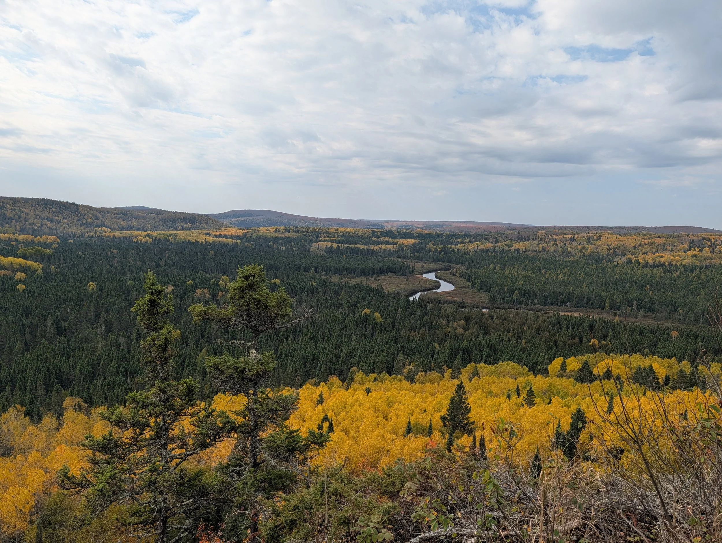 overlook on the superior hiking trail of a forest and river in fall
