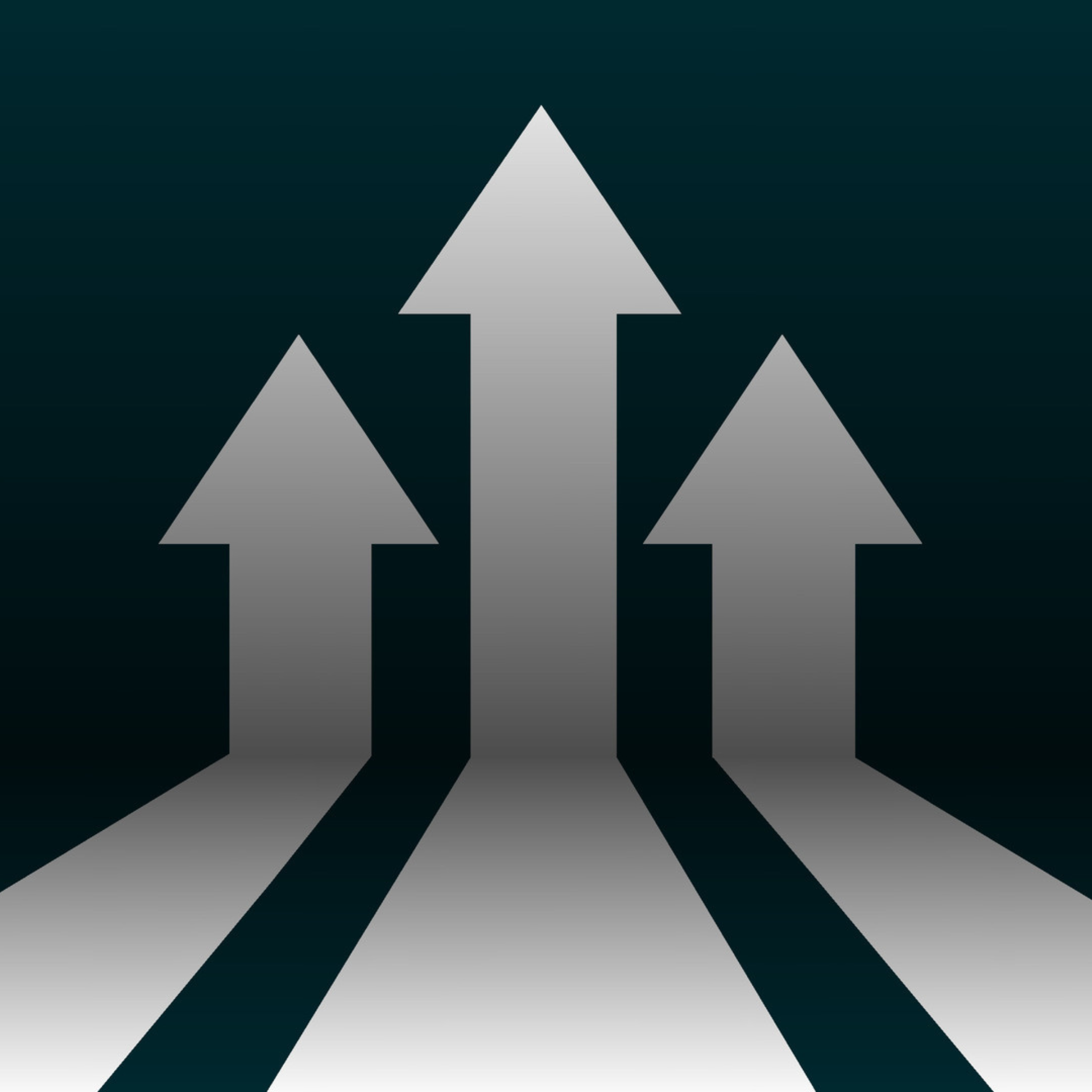 Website Support & SEO Services