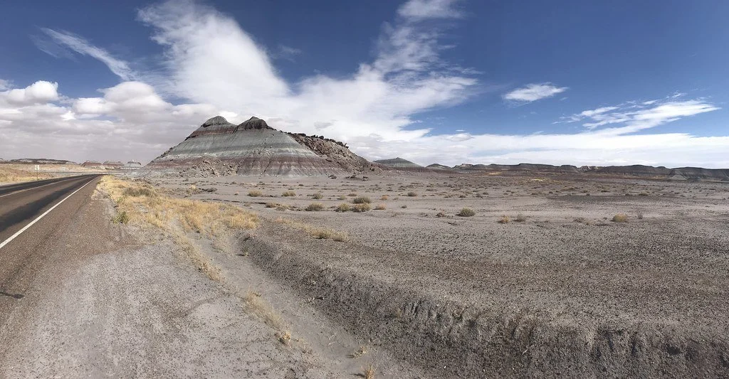 petrified-forest-np_50530856552_l.jpg
