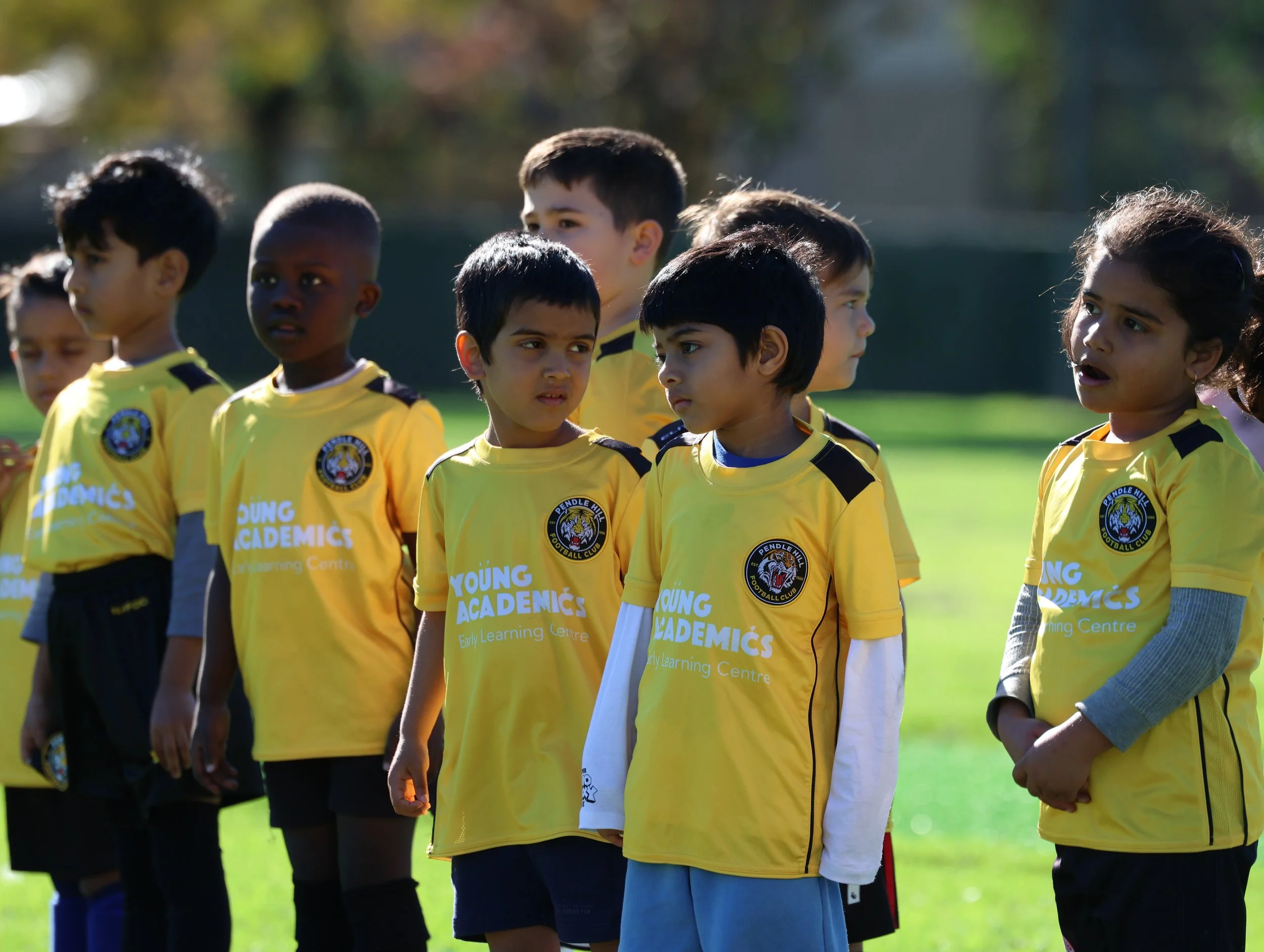 A group of young children playing soccer a grassy field, wearing gold football jerseys with a Pendle Hill FC logo, during daytime Cubs MiniRoos activites.